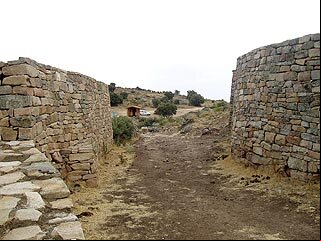 Cogotas0501