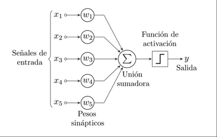 PERCEPTRON 1
